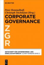 Corporate Governance im grenzuberschreitenden Konzern