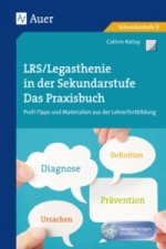 LRS - Legasthenie in der Sekundarstufe, m. 1 CD-ROM