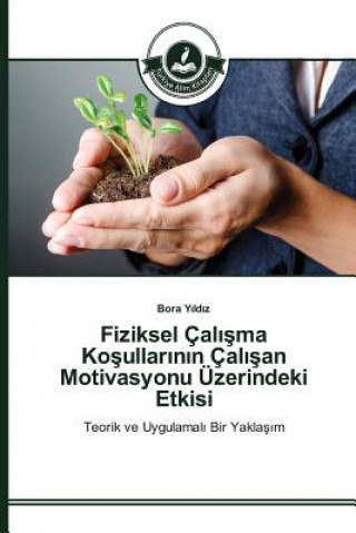 Fiziksel Calışma Koşullarının Calışan Motivasyonu UEzerindeki Etkisi