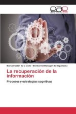 recuperacion de la informacion