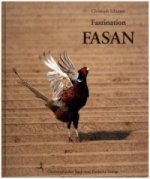 Faszination Fasan
