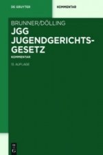 Jugendgerichtsgesetz