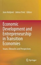 Economic Development and Entrepreneurship in Transition Economies