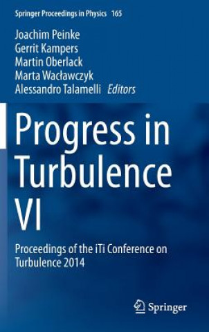 Progress in Turbulence VI