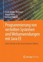 Programmierung Von Verteilten Systemen Und Webanwendungen Mit Java Ee
