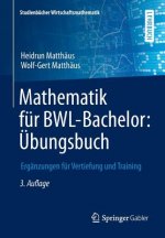 Mathematik fur BWL-Bachelor: UEbungsbuch