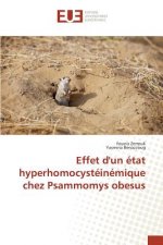 Effet d'un etat hyperhomocysteinemique chez Psammomys obesus