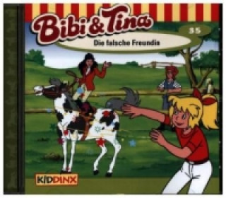 Bibi & Tina - Die falsche Freundin, 1 Audio-CD