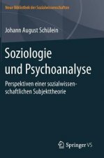 Soziologie Und Psychoanalyse