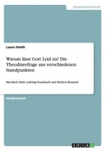 Warum lässt Gott Leid zu? Die Theodizeefrage aus verschiedenen Standpunkten