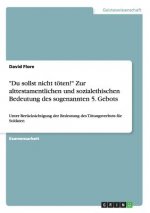 Du sollst nicht toeten! Zur alttestamentlichen und sozialethischen Bedeutung des sogenannten 5. Gebots