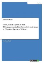 Form, Inhalt, Dynamik und Wirkungspotential der Perspektivenstruktur in Charlotte Brontes Villette