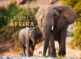 Tierwelt Afrika 2017