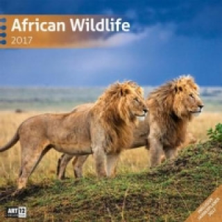 African Wildlife 30 x 30 cm 2017