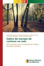 Indice de manejo de carbono no solo