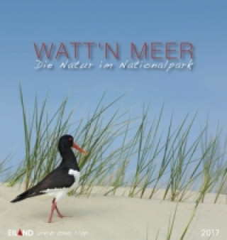 Watt n Meer... Die Natur an der Küste 2017