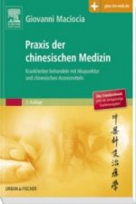 Praxis der chinesischen Medizin