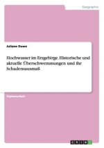 Hochwasser im Erzgebirge. Historische und aktuelle UEberschwemmungen und ihr Schadensausmass
