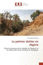 palmier dattier en Algerie