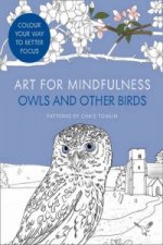 Art for Mindfulness: Owls and Other Birds