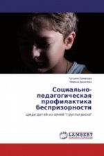 Social'no-pedagogicheskaya profilaktika besprizornosti