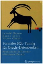 Formales SQL-Tuning fur Oracle-Datenbanken