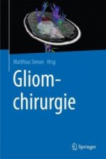 Gliomchirurgie, m. 1 Buch, m. 1 E-Book