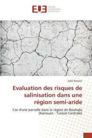 Evaluation des risques de salinisation dans une region semi-aride