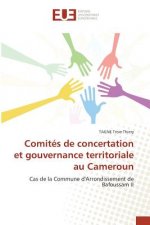 Comites de concertation et gouvernance territoriale au Cameroun