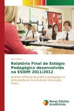 Relatorio Final de Estagio Pedagogico desenvolvido na ESIDM 2011/2012