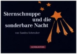 Sternschnuppe und die sonderbare Nacht