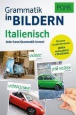 PONS Bildwörterbuch Deutsch (Ausgangssprache Arabisch)