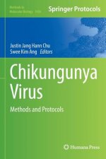 Chikungunya Virus