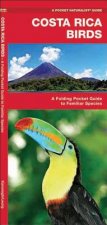 Costa Rica Birds