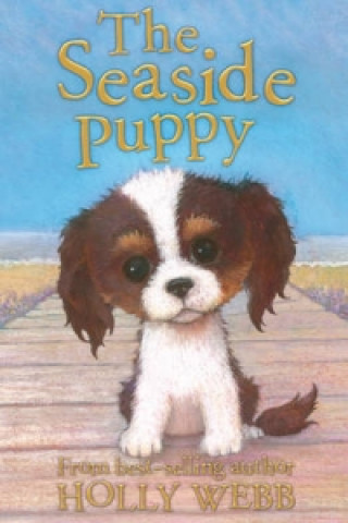 Seaside Puppy