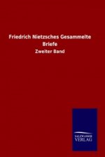 Der große Krieg in Deutschland. Bd.2