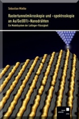 Rastertunnelmikroskopie und -spektroskopie an Au/Ge(001)-Nanodrähten