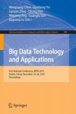 Big Data Technology and Applications