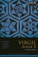 Virgil Aeneid X: A Selection