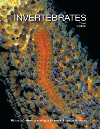 Invertebrates