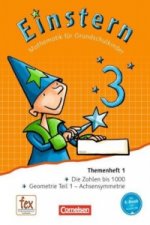 Einstern - Mathematik - Ausgabe 2015 - Band 3