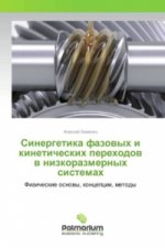 Sinergetika fazovyh i kineticheskih perehodov v nizkorazmernyh sistemah