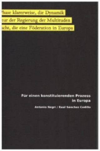 Für einen konstituierenden Prozess in Europa