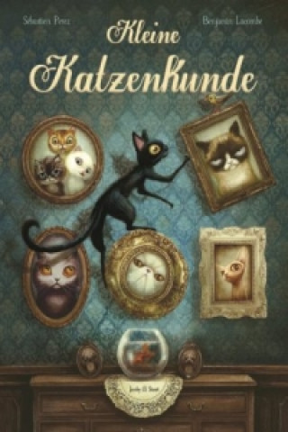 Kleine Katzenkunde