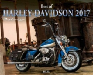 Best of Harley Davidson 2017