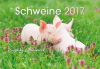 Schweine 2017