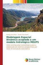 Modelagem Espacial Dinamica acoplada a um modelo hidrologico MEUPS