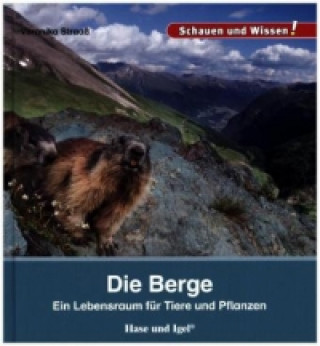 Die Berge