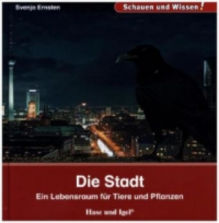 Die Stadt