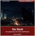 Die Stadt